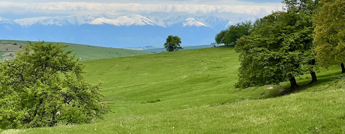 We cycled through this Transylvanian landscape with mountains in the background